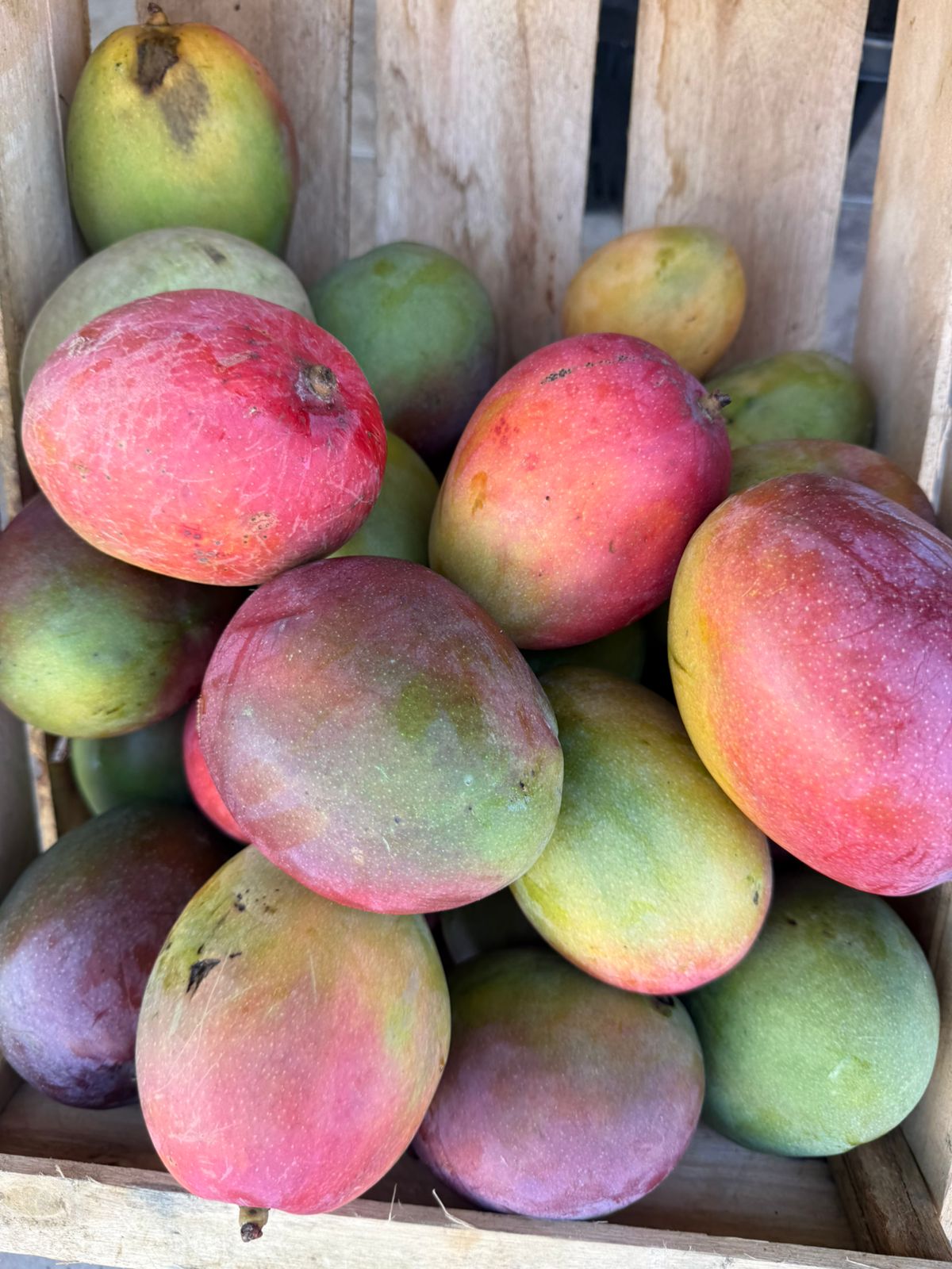 Produtos do Ideal Hortifruti